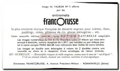 Rat d'égoule — Surmulot — Entremets FrancOrusse, n°607 — Rewers