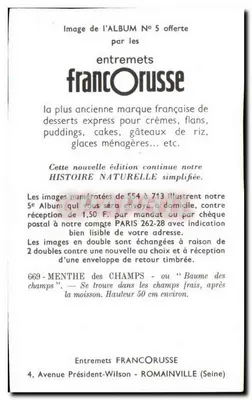 Mentha silvestris — Baume des champs — Entremets FrancOrusse, nr 669 — Rewers