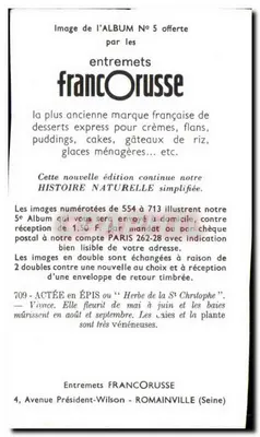 Actée w pędzle — Herba Świętego Chrystofa — Entremets FrancOrusse nr 709 — Rewers