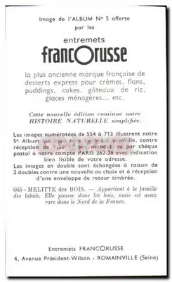 Mélitte lasowa — 665 — Entremets FrancOrusse — Rewers