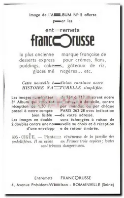 Cigüe — Trujący kwiat — Entremets Francoruisse, Album Nr 5 — Rewers