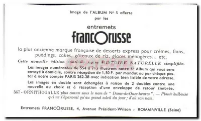 Ornithogalle — Roślina bulwowa — Entremets FrancOrusse, n°567 — Rewers