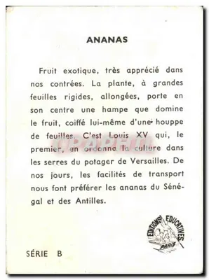 Ananas — Wydawnictwo Edukacyjne Paris — Seria B — Rewers