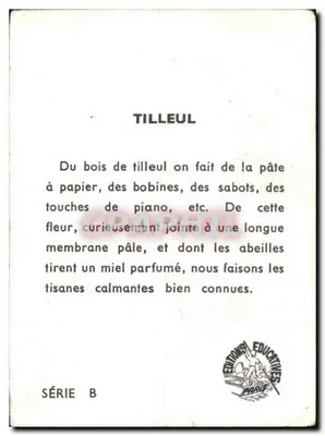 Tilleul — ilustracja botaniczna — Gilet-Royniat, seria B — Rewers