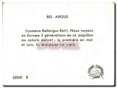 Belargus — motyl — Calviet-Rogniac, seria B — Rewers