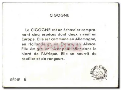 Cigana — Editora: Éditions Éducatives, Paris — Série B — Verso