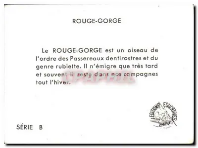 Rudziki — seria B — Wydawnictwo Edukacyjne Paris — Rewers