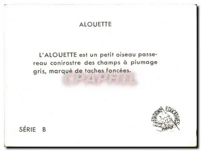 Alouette — Série B — Edições Educativas Paris — Verso