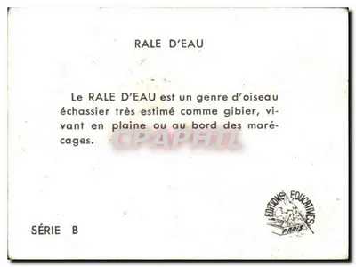 Rale d'eau — Série B — Éditions Éducatives Paris — Verso