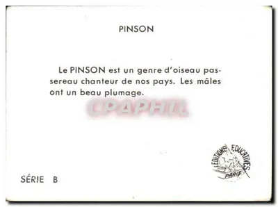 Pinson — seria B — wydawnictwo Edukacyjne Paris — Rewers