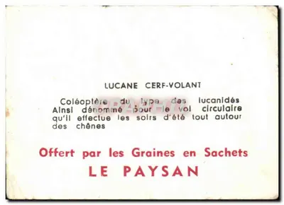 Lucana cervo-voador — Coleoptera dos lucanídeos — Ofertado pelas Sementes em Sacos LE PAYSAN — Verso