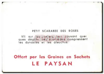 Mały skarabeusz różowy — ilustracja — Darmowy od 'Graines en Sachets LE PAYSAN' — Rewers