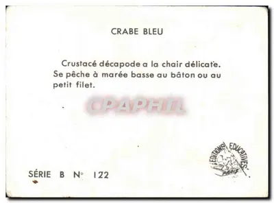 Caranguejo azul — Série B N° 122 — Éditions Éducatives Paris — Verso