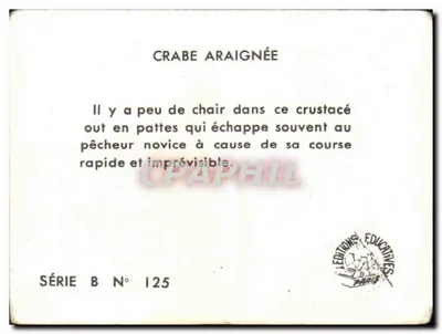 Caranguejo-aranha — Série B N° 125 — Edições Educativas Paris — Verso