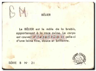Bieł — rasa owiec — Wydawnictwo Edukacyjne Paris, seria B nr 21 — Rewers