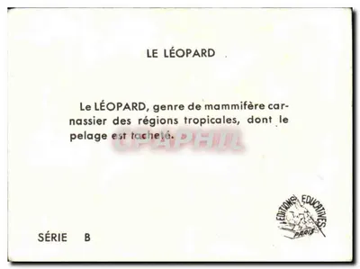 Lew — seria B — Wydawnictwo Edukacyjne Paris — Rewers