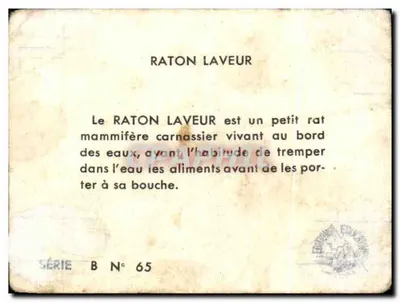Raton Laveur — série B n° 65 — Éditeur Éditions Fils Zink — Rewers