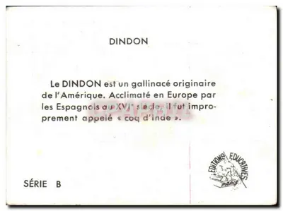 Dindon — Dindon — Edições Educativas, Série B — Verso
