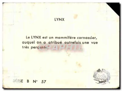 Lynx — Carnassier aux yeux perçants — Carvet-Rogniat, série B n°57 — Verso