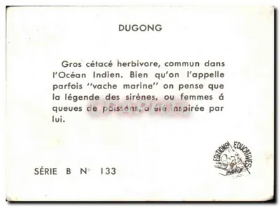 Dugong — Grande cetáceo herbívoro do Oceano Índico — Éditions Éducatives Paris, Série B N° 133 — Verso