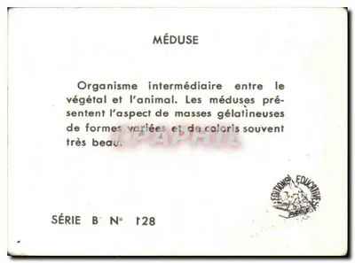 Méduse — Série B N° 128 — Edições Educativas, Paris — Verso