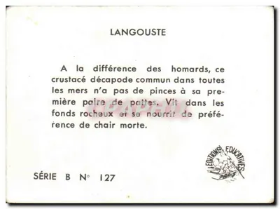 Langosta — crustáceo decápode — Éditions Éducatives, Série B N° 127 — Verso