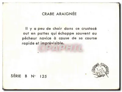 Caranguejo-aranha — Editor: Éditions Éducatives, Paris — Série B N° 125 — Verso