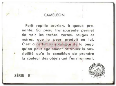 Camaleón — Serie B — Éditions Éducatives Paris — Reverso