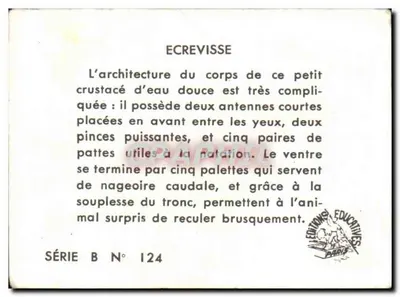 Carrapato — Editora Edições Educativas, Paris — Série B N° 124 — Verso