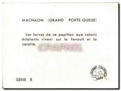 Machaon — Grande porta-cauda — Edições Educativas Paris, Série B — Verso