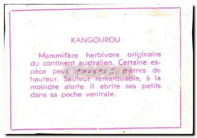 Kangur — ilustracja i opis — wydawca i numer serii nieczytelne — Rewers