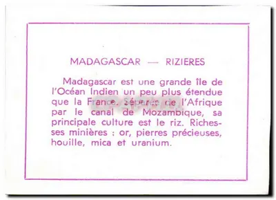 Madagaskar: ryzowiska – Wydawnictwo, niezidentyfikowana seria — Rewers