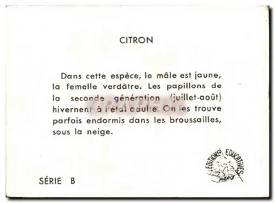 Citron — Motyl — Wyd. Edukacyjne, seria B — Rewers