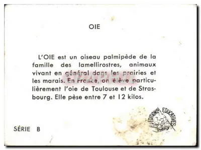 Gęś — Série B — Éditions Éducatives Paris — Rewers