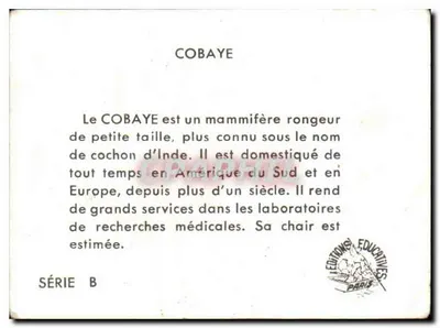 Cobaya — Série B — Éditions Éducatives Paris — Verso