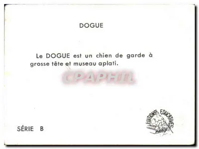 Dogue — Série B — Éditions Éducatives Paris — Verso