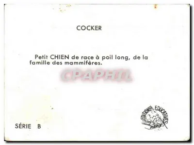 Cocker — Série B — Edições Educativas Paris — Verso