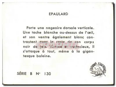 Épaulard — orca — Calver-Rogniat, Série B N° 130 — Verso