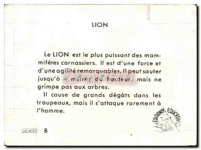 Lew — Éditions Éducative, seria B — Rewers