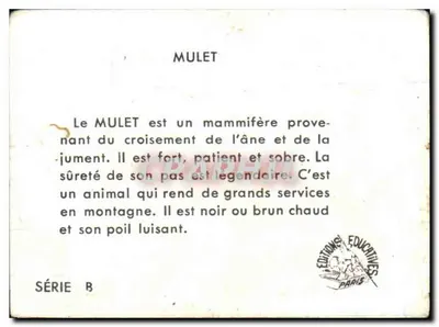 Mulo — Edições Educativas Paris, Série B — Verso