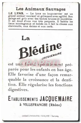 Imagem Lynx Bledine Jacquemaire Villefrance — Verso