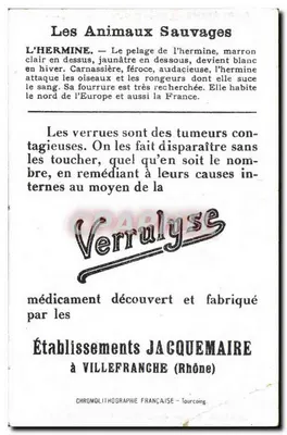 Hermine — Animais Selvagens — Estabelecimento Jacquemaire — Verso