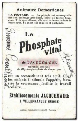 Pintada — karta reklamowa dla Blédine i Phosphate vital — Zakłady Jacquemaire — Rewers