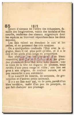 Ibis — série 85 — éditeur Grapetti — Rewers