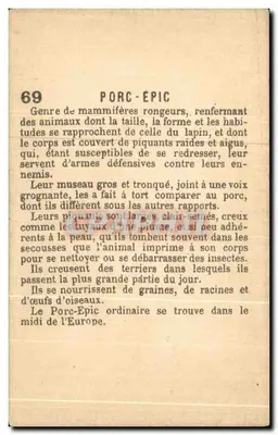 Porc-Épic — zwierzęca karta n°69 — wydawca nie widoczny — Rewers