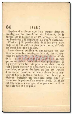 Isard — espécie de antílope — IZARD n°80 — Verso