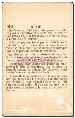 Renne — Laponia — seria 62, wydawca C. C. (lub C.-C.) — Rewers