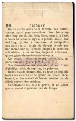 Cegonha — editor desconhecido, n° 98 — Verso