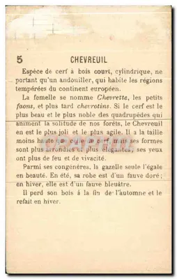 Cervo — ilustración forestal — Chevreuril, n°5 — Reverso