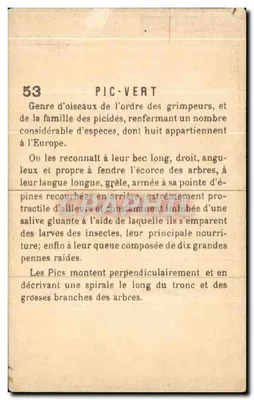 Pic zielony — ptak lasowy — wydawca P. L. VERT, nr 53 — Rewers
